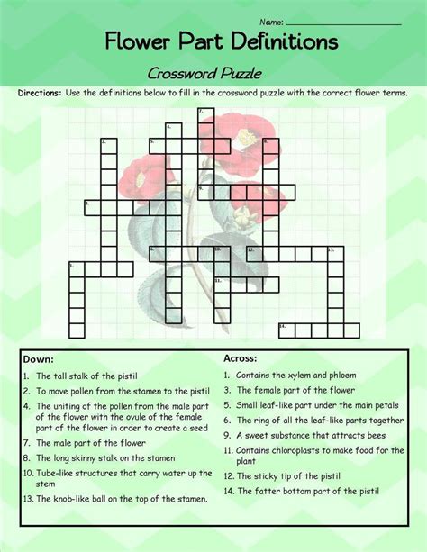 Flower parts crossword puzzle. Things To Know About Flower parts crossword puzzle. 